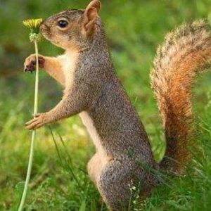 Meet your Posher, Hugo